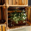 Creative Deco Gevlamde Houten Doos, 40 x 30 x 15 cm Productafbeelding-voorbeeld 2