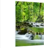 Bilder auf glas - Einteilig - Stream Wald Natur - 80x120cm Produktbild-Vorschau 1