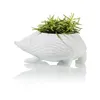 Porzellan-Blumentopf im Igel-Design für Zimmerpflanzen, Produktbild-Vorschau 2