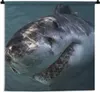 MuchoWow® Wandteppich Wandbehang Hai - Weiß - Wasser 60x60 Produktbild-Vorschau 1