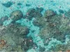 Gray Malin Beach 500 Piece Double-Sided Puzzle Produktbild-Vorschau 3