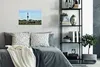 MuchoWow® Poster Kühe - Leuchtturm - Gras 30x20 cm - Produktbild-Vorschau 4