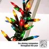 Lichterkette 100 bunte Mini-Lampen, 14,85 m, grünes Kabel Productafbeelding-voorbeeld
