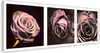 Leinwandbild panorama - rosen 150x50 cm Feeby rosa wandbild Produktbild-Vorschau 1