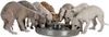 Trixie Edelstahl-Welpennapf - 1,4 l / 29 cm Produktbild-Vorschau 2