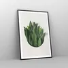 Gerahmtes Poster - Schwarzer Rahmen - Salbei Medizin Produktbild-Vorschau 8