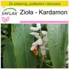 SAFLAX - Zestaw do uprawy - Zioła - Kardamon - 20 Nasiona - Podgląd zdjęcia produktu 9