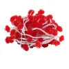 Guirlande lumineuse chinoise rouge - 6m/19,7ft, 40 lumières Voir les images du produit 8