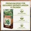 Green Home Monstera Erde 36 L – Substrat für Fensterblatt, Produktbild-Vorschau 2