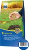 Kiepenkerl Herbst- und Nachsaatrasen 1 kg Produktbild-Vorschau 4
