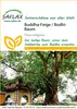 SAFLAX - Fík Buddha / Strom Bodhi - Ficus religiosa - 100 Náhled obrázku produktu 11