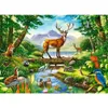 Puzzle 300 pièces Animaux de la Forêt 30408 Voir les images du produit 2