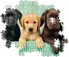 Vysoce kvalitní kolekce - 1000 dílků puzzle - Drei Náhled obrázku produktu 8