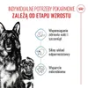 Pienso Royal Canin Maxi Starter Mutter & Babydo Aves 4 Kg Produktbild-Vorschau 4