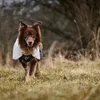 Non-stop dogwear Regenmantel Fjord raincoat 2.0 grau, Produktbild-Vorschau 5