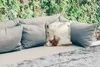 MuchoWow® Outdoor Kissen - Pferd - Strand - Mähne - 40x40 Produktbild-Vorschau 2