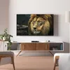 Telestar Digistar C HD DVB-C HD-Receiver Produktbild-Vorschau 7