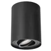 Faretto a plafone SKAND 1 GU10 nero rotondo - faretto da Anteprima dell’immagine prodotto 1