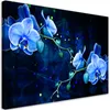 Leinwandbild Blaue Orchideenblüte 60x40 Feeby Blau bild für Produktbild-Vorschau 1