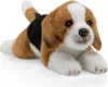 Carl Dick Beagle cca 20cm, plyšová hračka, plyšová hračka, Náhľad obrázku produktu 2
