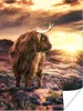 MuchoWow® Poster Schottische Highlander - Sonne - Produktbild-Vorschau 1