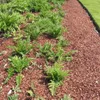 Culvita | 70L Kakaoschalen | Bodendecker | Garten & Beete | Produktbild-Vorschau 2