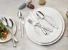 Sada príborov Villeroy & Boch Victor - 68 kusov - nerezová Náhľad obrázku produktu 8