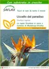 SAFLAX  - Uccello del paradiso - 5 semi - Con substrato - Anteprima dell’immagine prodotto 1