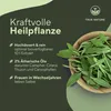 Salbei Kapseln Vegan - 180 Stück (6 Monate) - 12mg Produktbild-Vorschau 3