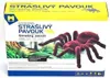 MPK Toys MAGANA Pavouk na ovládání Náhľad obrázku produktu 4
