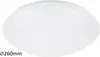 A white, round ceiling light is shown against a white background. Náhled obrázku produktu
