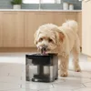 Abreuvoir Automatique Pour Chats Et Chiens – Distributeur Voir les images du produit 3