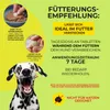 Adema Natural® Wormilex – Wurmmittel für Hunde – nur für Produktbild-Vorschau 5