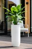 VIVANNO Vase de sol en fibre de verre SOLERIO Rond, blanc Voir les images du produit 2