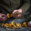 Opinel O001252 paddenstoelenmes, bruin, natuurlijke kleur Productafbeelding-voorbeeld 16