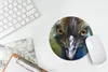 MuchoWow® Mauspad Mousepad Nahaufnahme eines Kasuars 20x20 Produktbild-Vorschau 5