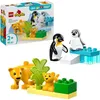 LEGO DUPLO Ma Ville 10442 Familles d'animaux sauvages : Voir les images du produit 28