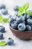 PLANTON B Mehrkomponentendünger für Heidelbeeren und andere Produktbild-Vorschau 12