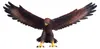 Mojo Fun Golden Eagle, 3 Jahr(e), Wildlife, Braun, Gelb, Produktbild-Vorschau 3