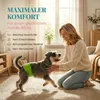 HUND IST KÖNIG Hundewindeln für Rüden [3 Stk], M (Taille Produktbild-Vorschau 4