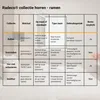 Dachfenster Fliegengitter Plissee Multi - Verdunkelung - Produktbild-Vorschau 6