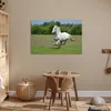 MuchoWow® Poster Pferde - Natur - Weiß 90x60 cm - Produktbild-Vorschau 7