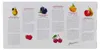 Schladerer Obstbrand Probierpack 42% Vol. 6 x 0,03l Produktbild-Vorschau 9
