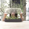 Miniskleník RESPANA TABLE 3 v 1 39 x 26 x 19 cm Náhľad obrázku produktu 10