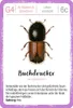 Expedition Natur Quartett Minimonster Produktbild-Vorschau 2