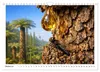 Verrückt nach Fossilien (Wandkalender 2027 DIN A4 quer), Produktbild-Vorschau 12