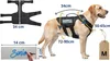 Wobell | Pettorina da passeggio per cani con maniglie Anteprima dell’immagine prodotto 9