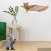 Katzenhöhlen, Kletterwand Katzen, Wandmontage Produktbild-Vorschau 6