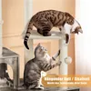 Two cats interacting with a multi-level cat tree that includes a scratching post and a toy ball. Podgląd zdjęcia produktu
