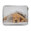 MuchoWow® Laptop Hülle 15 Zoll Haustiere - Hund - Katze - Produktbild-Vorschau 1